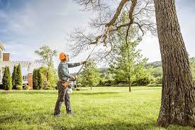 Best Emergency Tree Removal  in Fort Walton Beach, FL