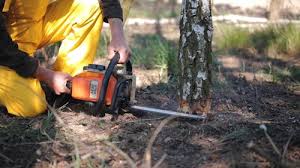 Mulching Services in Fort Walton Beach, FL