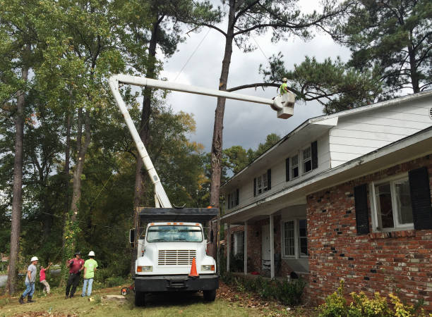 Best Utility Line Clearance  in Fort Walton Beach, FL